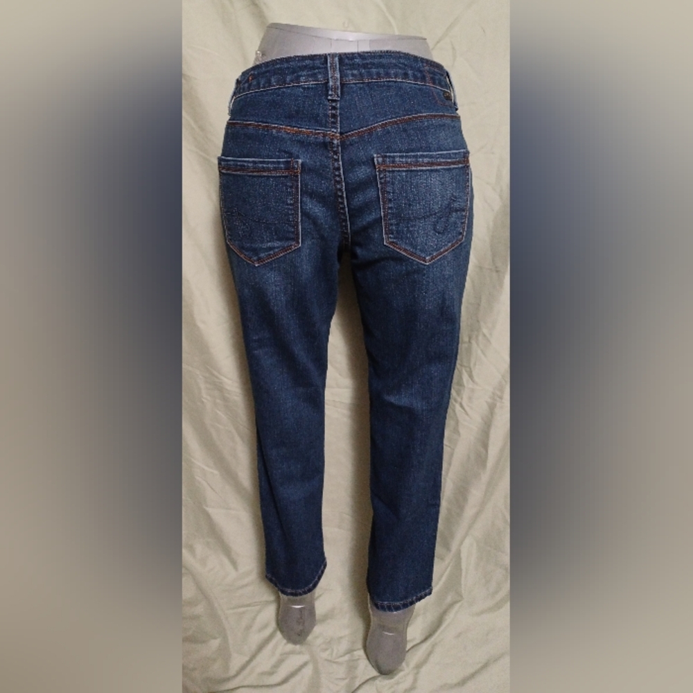 Jag Jeans Womens Slim Ankle Dark Blue Indigo Denim